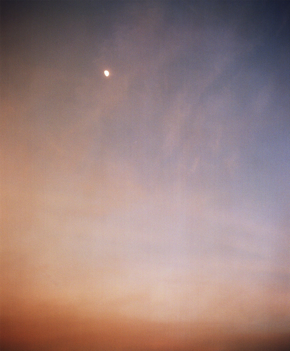 May Flower Moon: Dreams in Bloom - TU·ET·AL