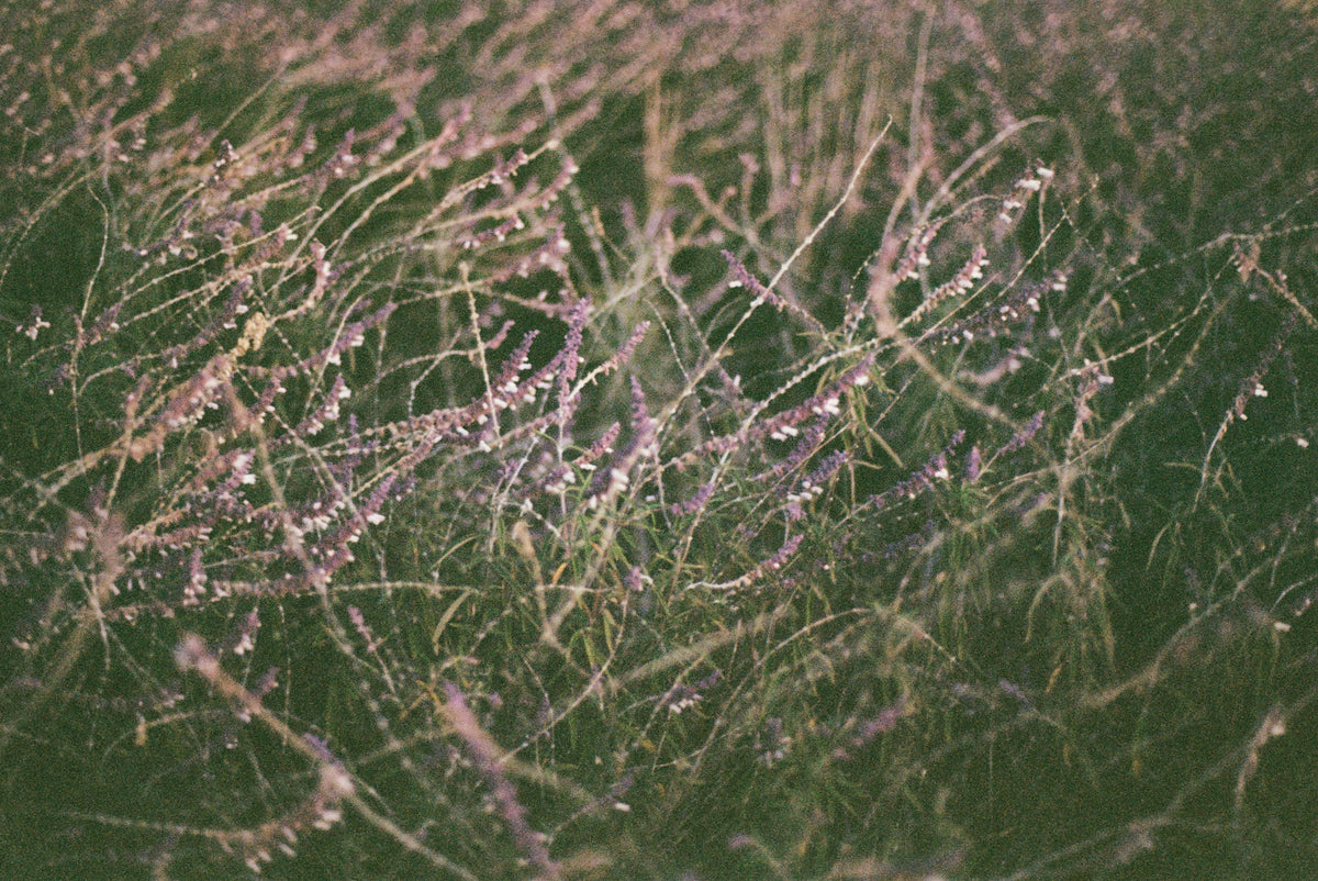 Balancing Skincare, Rooted in Nature - TU·ET·AL
